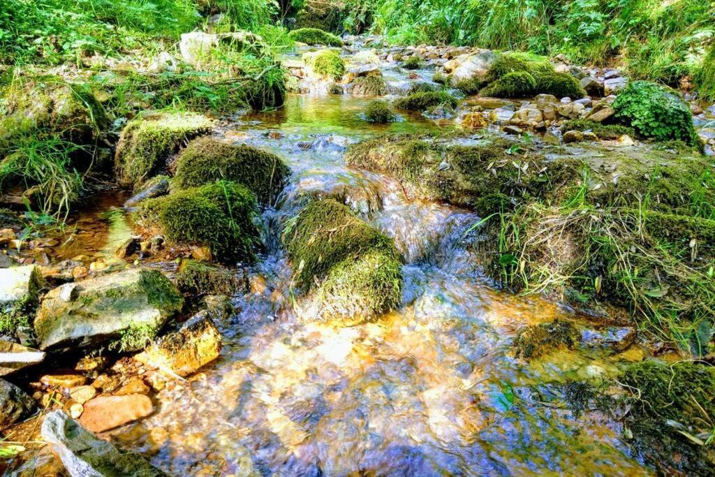 Вілла Casa Con Vistas Y Encanto En Parque Natural Paramo Екстер'єр фото