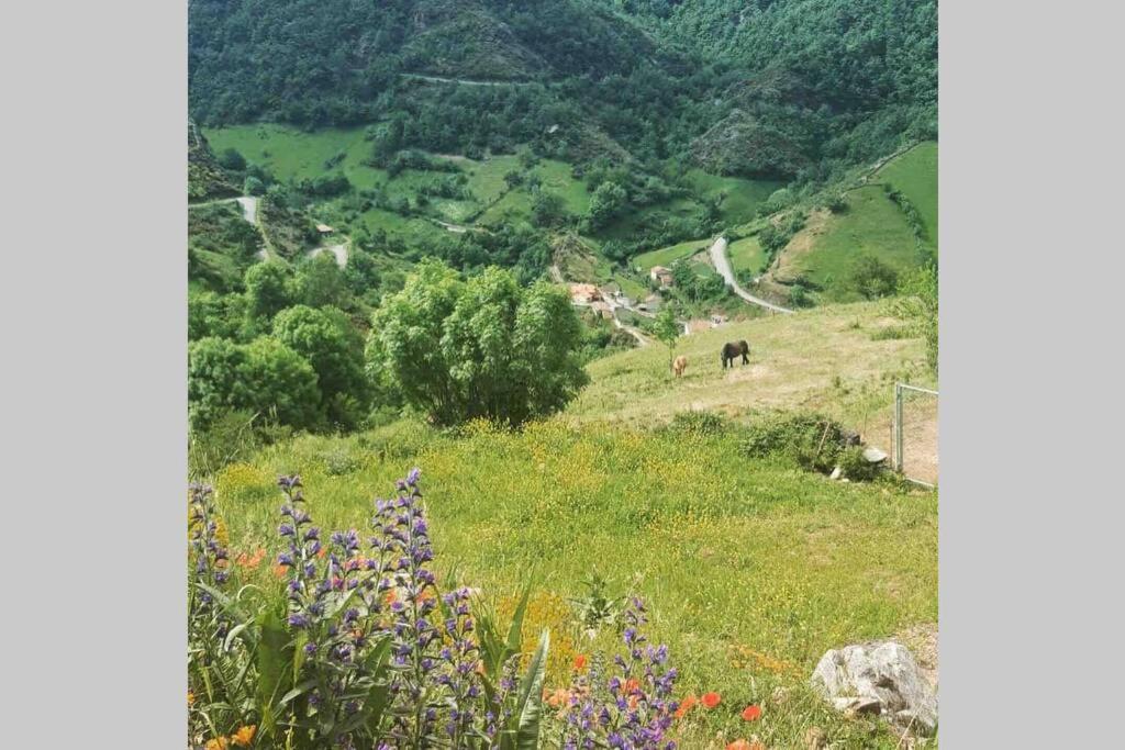 Вілла Casa Con Vistas Y Encanto En Parque Natural Paramo Екстер'єр фото